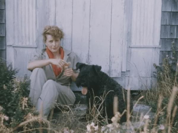 Quotations that I like and love (a living&nbsp;list)